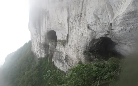 金佛山