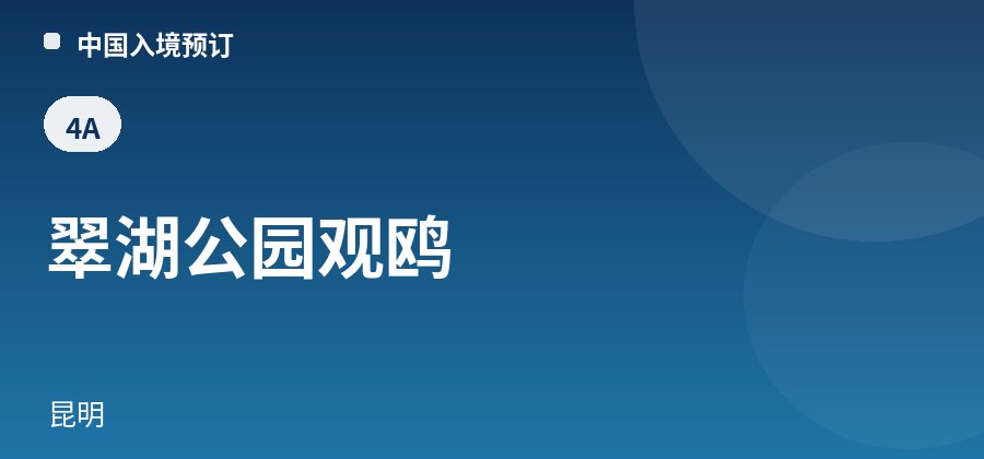 翠湖公园观鸥 · 昆明