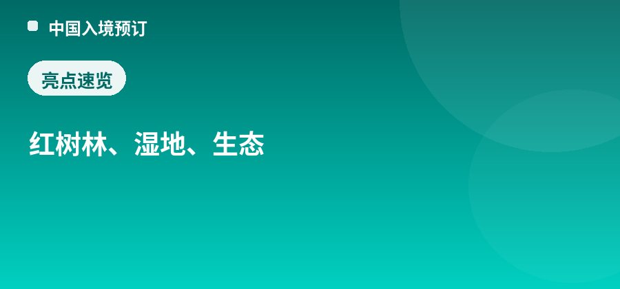 红树林生态公园亮点：红树林、湿地、生态
