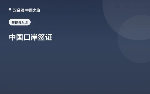 中国口岸签证