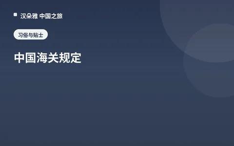 中国海关规定