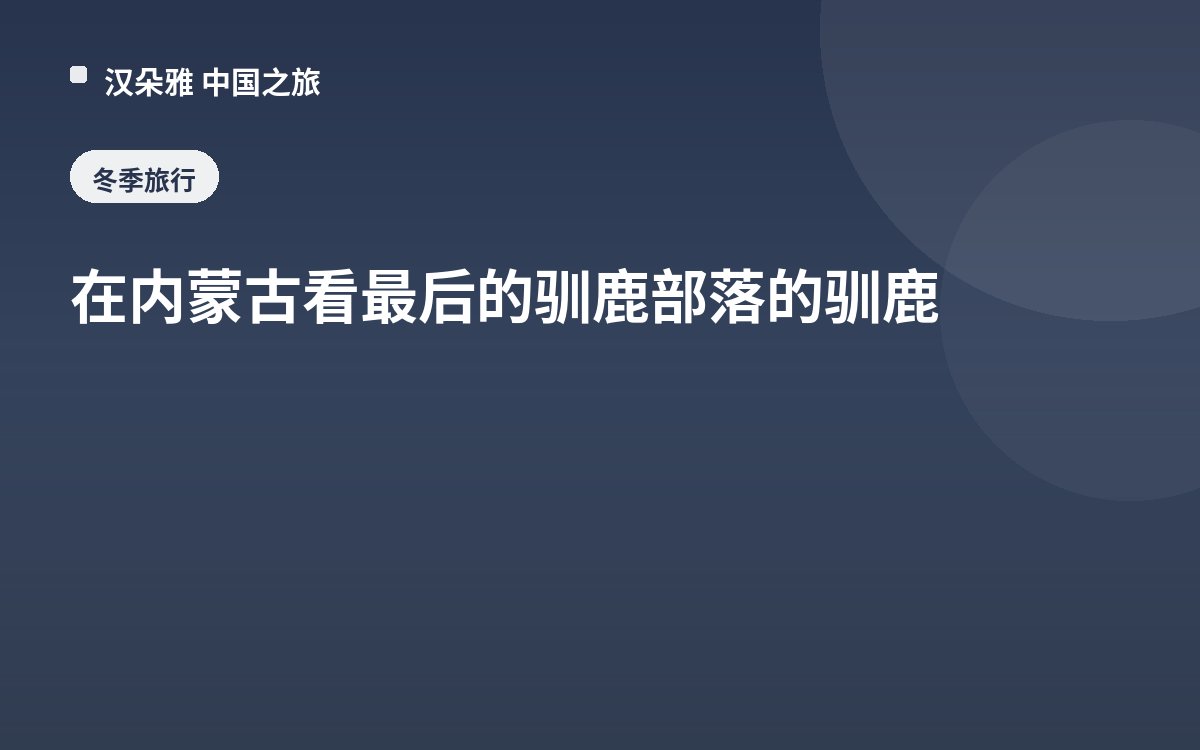 在内蒙古看最后的驯鹿部落的驯鹿