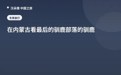 在内蒙古看最后的驯鹿部落的驯鹿