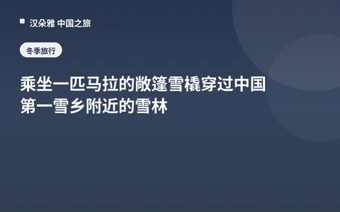 乘坐一匹马拉的敞篷雪橇穿过中国第一雪乡附近的雪林